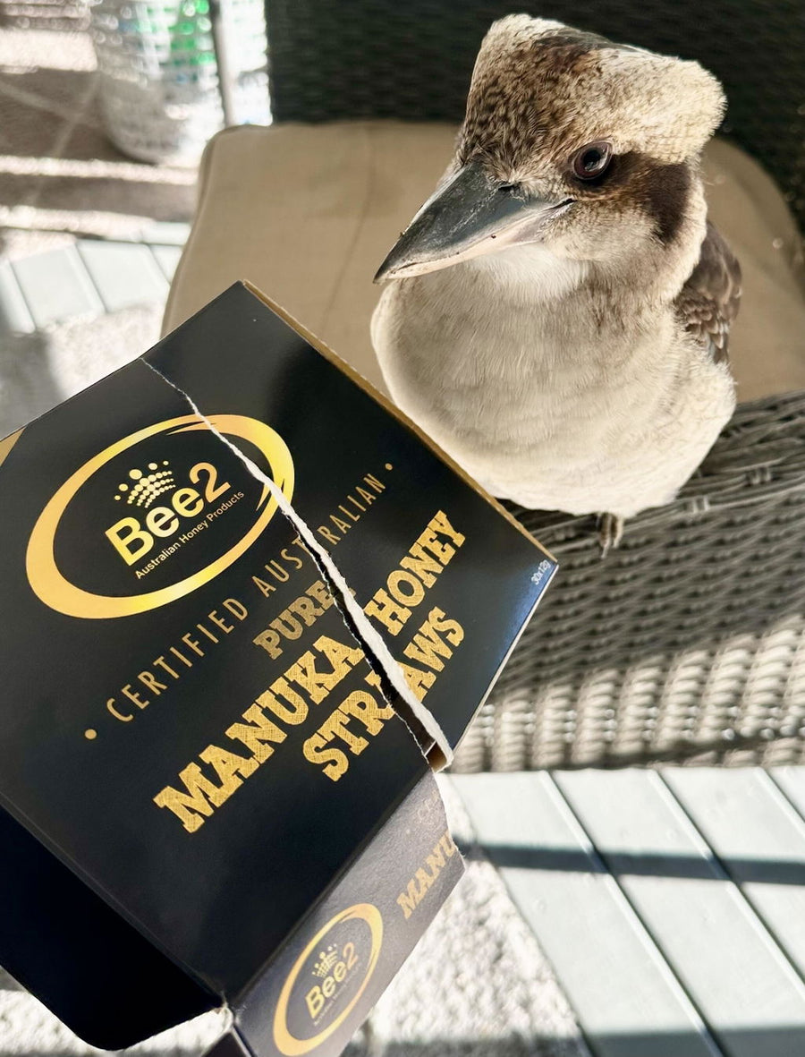 Photo from a Bee2 customer review