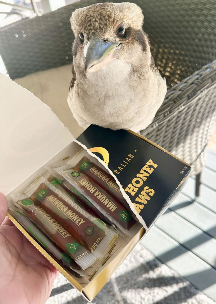 Photo from a Bee2 customer review