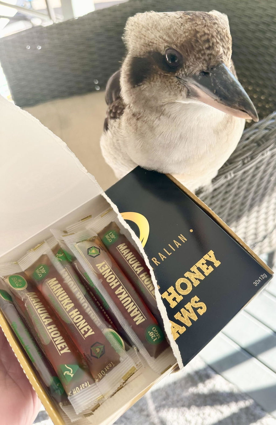 Photo from a Bee2 customer review