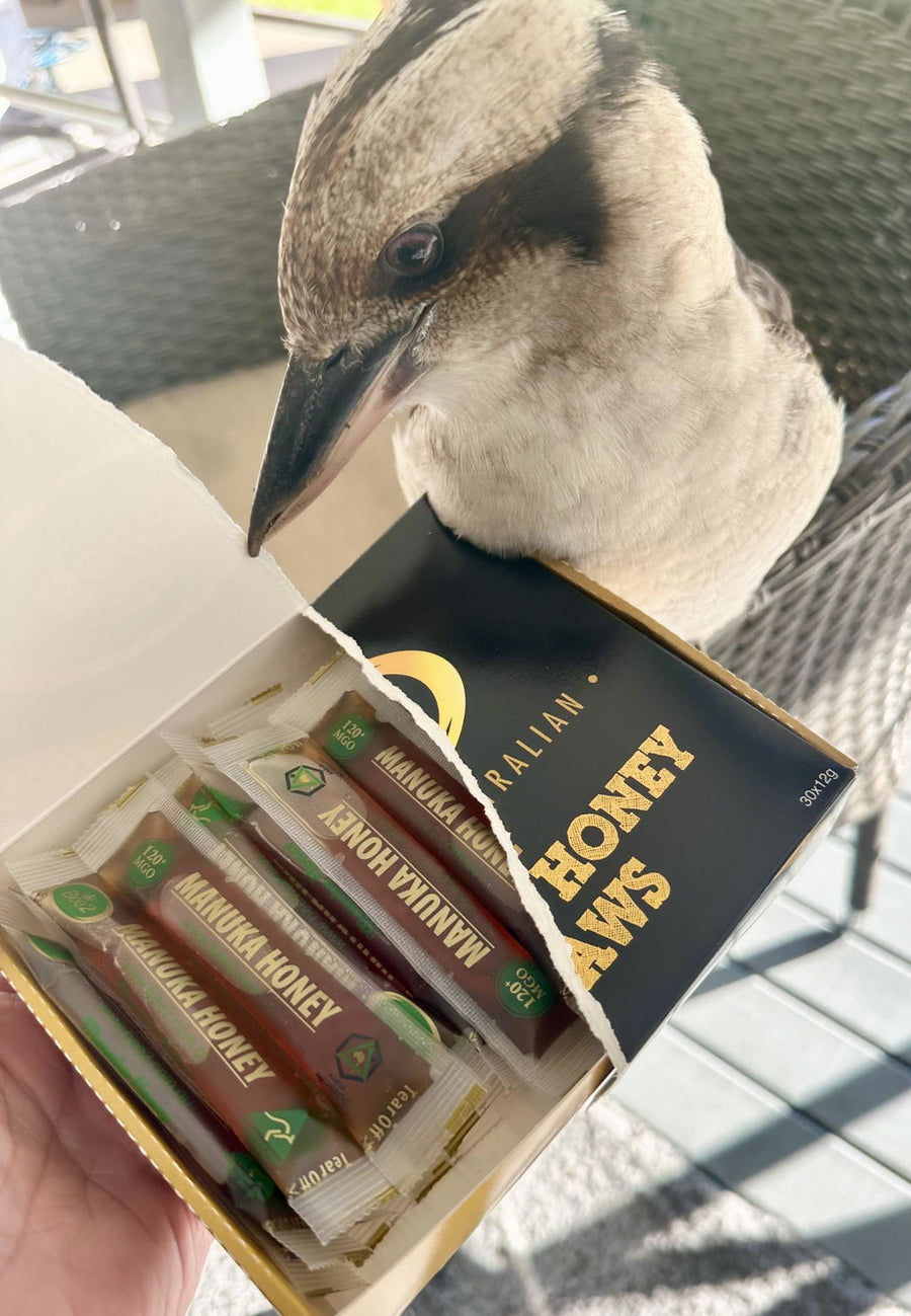Photo from a Bee2 customer review